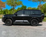 بي واي دي دينزا بي8 فلاج شيب 2026